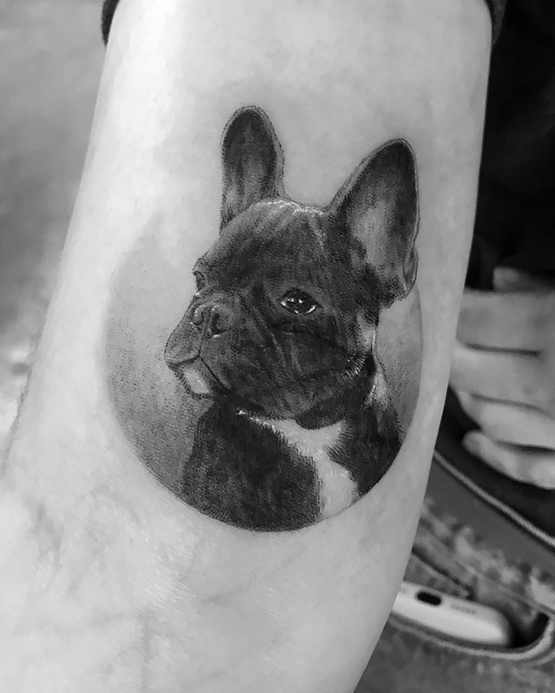 doguinho 150_1